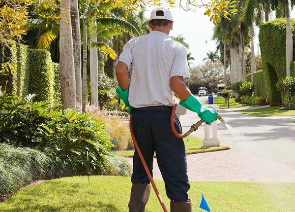 About Marion IL Pest Control Pros